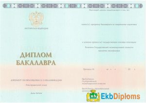 Диплом бакалавра 2014-2026 года